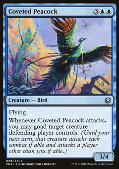 Coveted Peacock